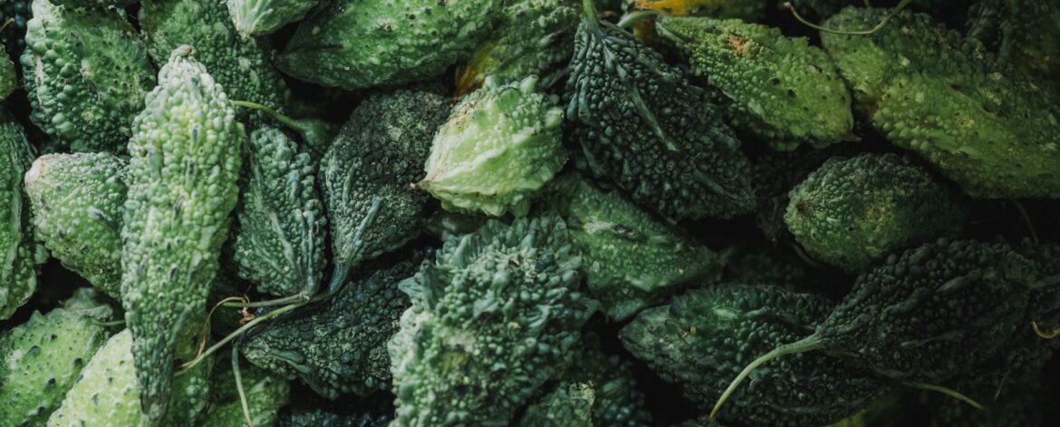 goh-rhy-yan-PyBocTfwLj0-unsplash goh-rhy-yan-PyBocTfwLj0-unsplash